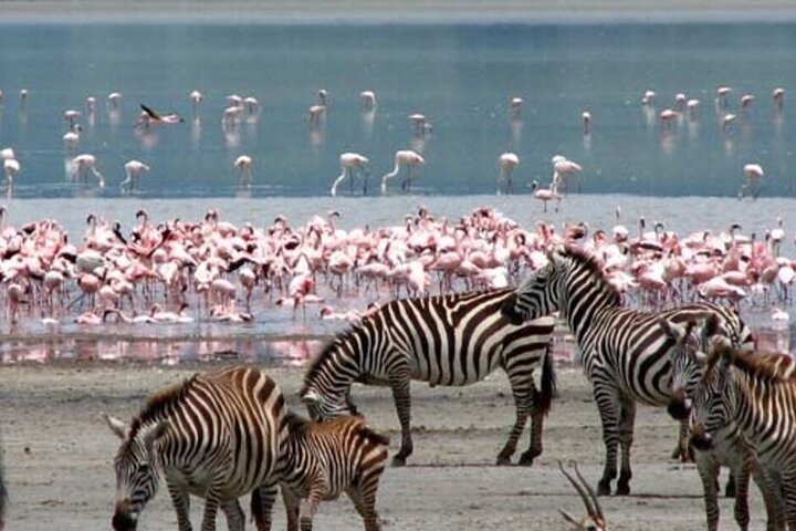 Private Day Tour to Lake Nakuru National Park