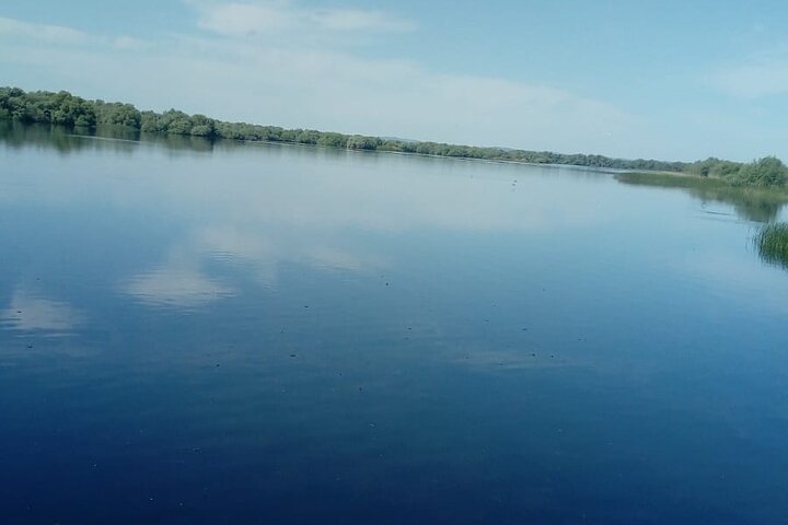 Daily Tours in the Danube Delta - Camely Cruise