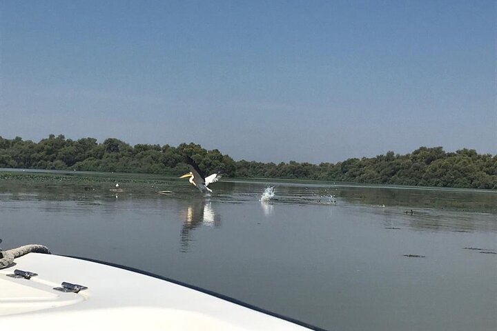 **Danube Delta Trips on the Camely Boat: Departing from Tulcea**