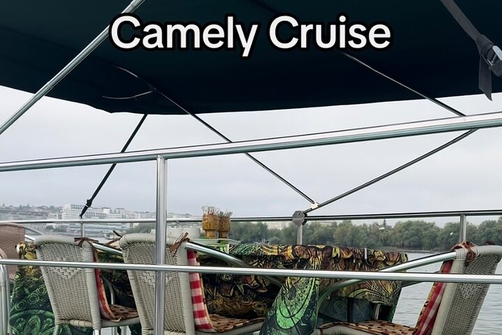 ***Daily Tour in the Danube Delta Departing from Tulcea Port***