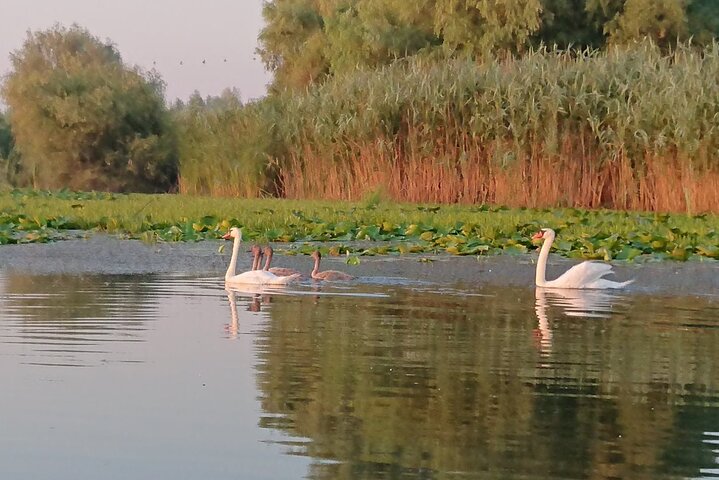 **Danube Delta Trips on the Camely Boat: Departing from Tulcea**