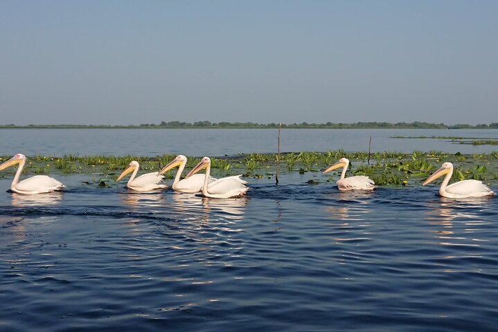 **Danube Delta Trips on the Camely Boat: Departing from Tulcea**