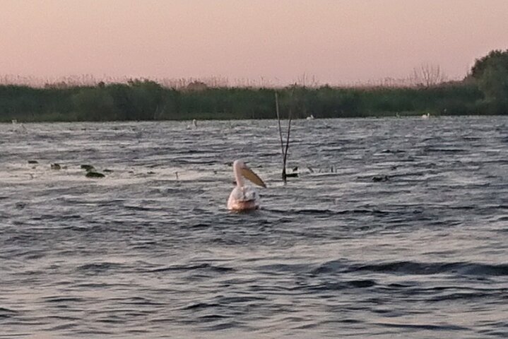 **Danube Delta Trips on the Camely Boat: Departing from Tulcea**
