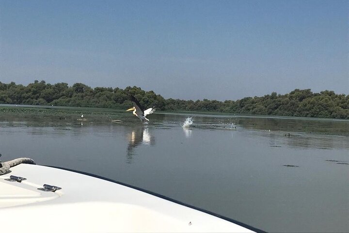 ***Daily Tour in the Danube Delta Departing from Tulcea Port***