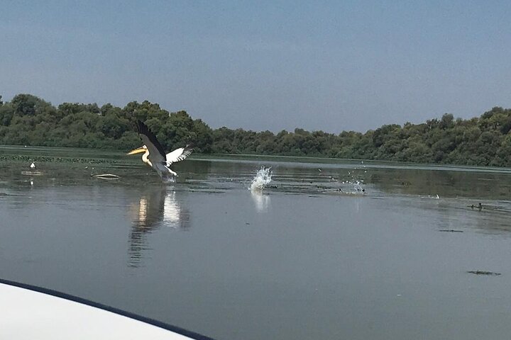 **Danube Delta Trips on the Camely Boat: Departing from Tulcea**