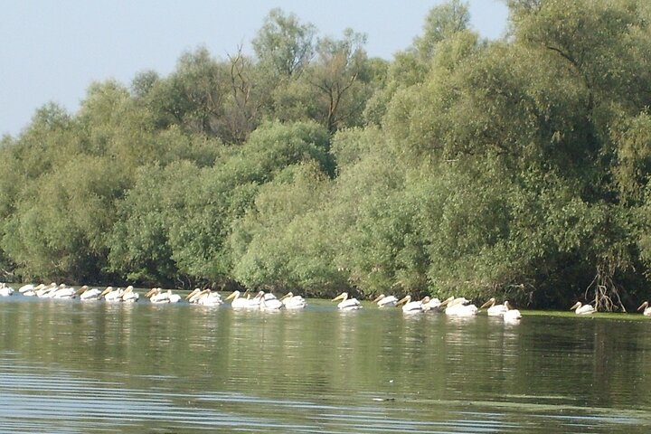 **Danube Delta Trips on the Camely Boat: Departing from Tulcea**