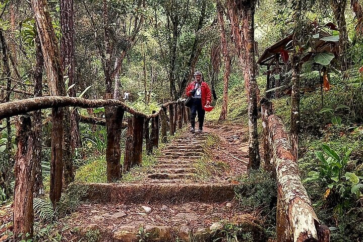 Full-Day Tour to the Rey Marcos Caves & Nature from Coban