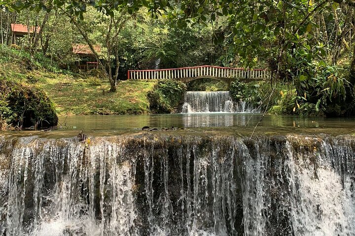 Full-Day Tour to the Rey Marcos Caves & Nature from Coban