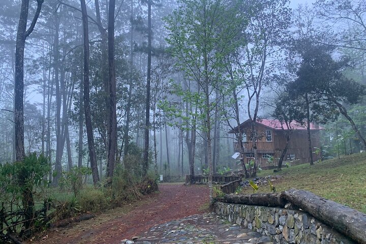 Full-Day Tour to the Rey Marcos Caves & Nature from Coban