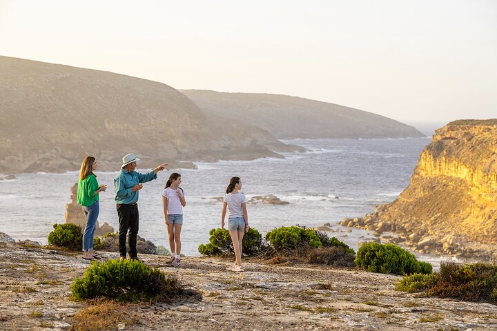 Port Lincoln and Coffin Bay Day Tour