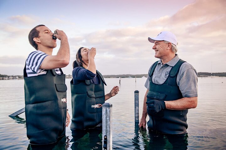 Port Lincoln and Coffin Bay Day Tour