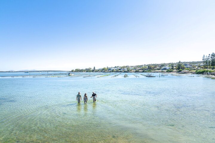 Port Lincoln and Coffin Bay Day Tour