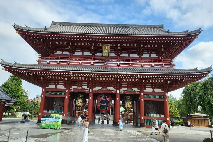 Private Custom Tokyo Tour with a Tokyo Resident Pro Guide By Car