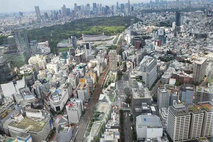 Private Custom Tokyo Tour with a Tokyo Resident Pro Guide By Car