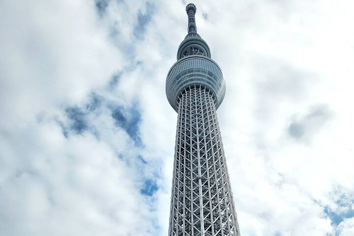 Private Custom Tokyo Tour with a Tokyo Resident Pro Guide By Car