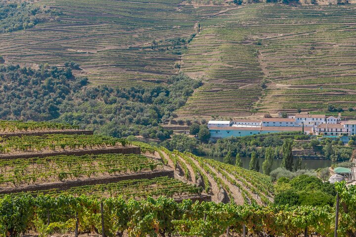 Complete Douro Valley Wine Tour with Lunch, Wine Tastings and River Cruise