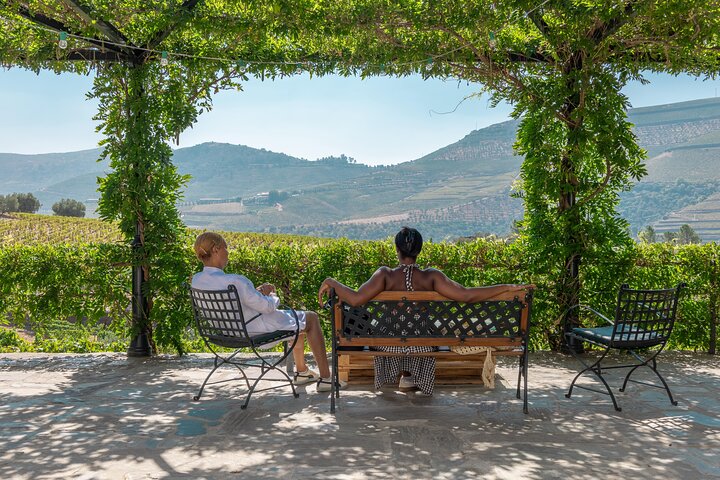 Complete Douro Valley Wine Tour with Lunch, Wine Tastings and River Cruise