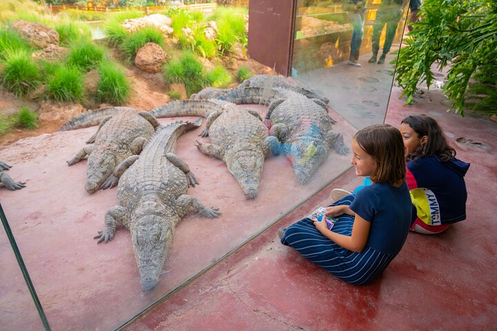 Skip the Line Ticket to Crocoparc with Optional Transfert
