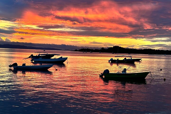Corcovado National Park Sirena Day Tour From Puerto Jimenez