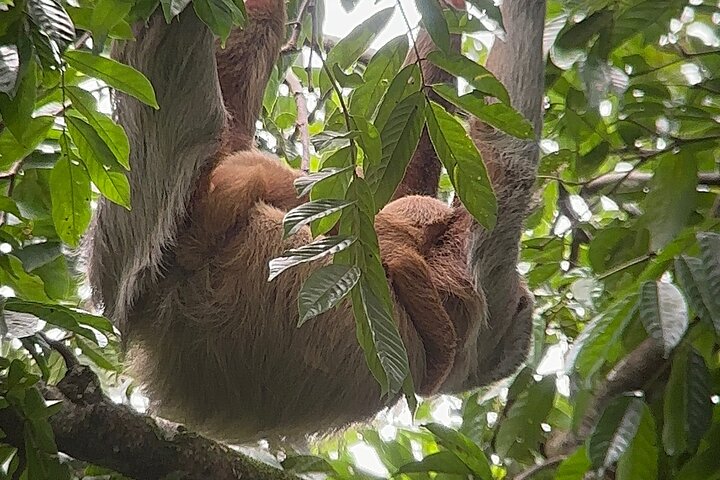 Corcovado National Park Sirena Day Tour From Puerto Jimenez