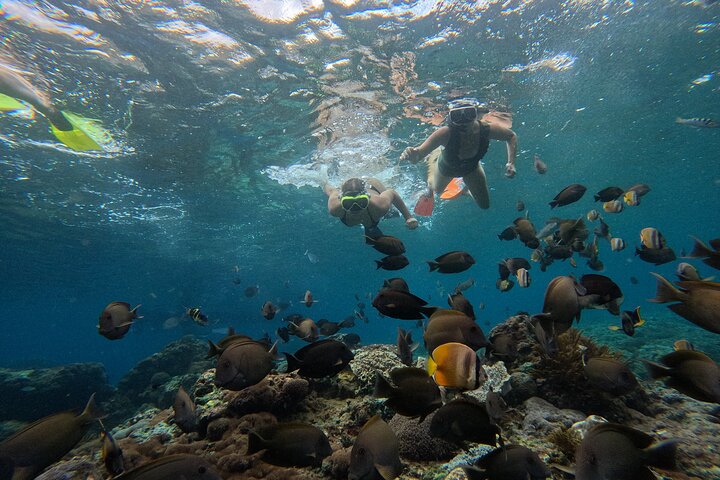 Lembongan Snorkeling at Manta Bay, Crystal Bay and Mangrove