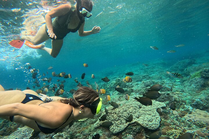 Lembongan Snorkeling at Manta Bay, Crystal Bay and Mangrove