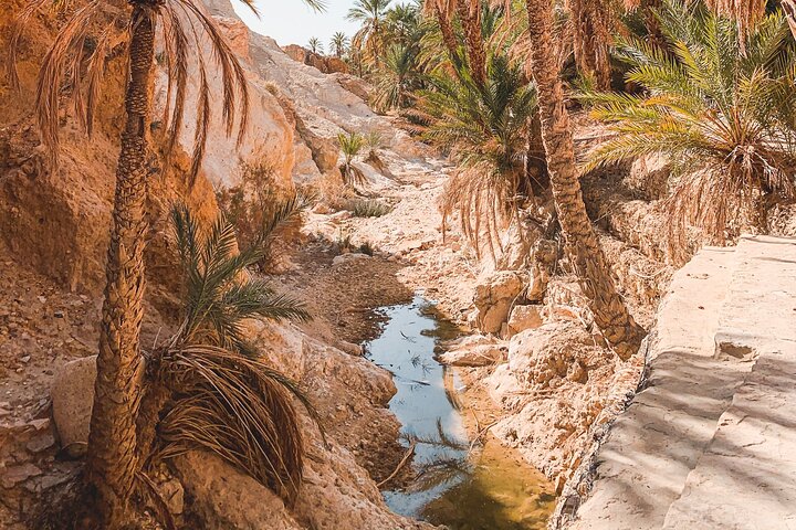 Tamerza, Chebika, Mides Canyons and Star Wars Full-Day Tour