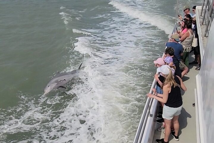 1:00 PM Eco Tour and Dolphin Watch