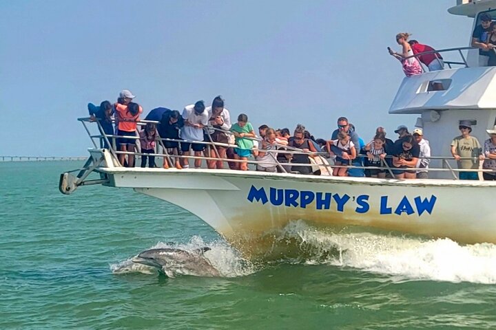 Sunset Dolphin Watch Cruise