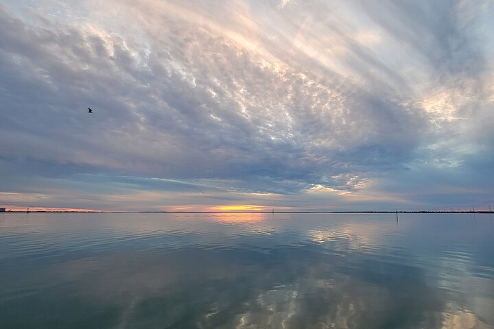 Sunset Dolphin Watch Cruise