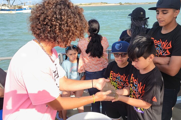 1:00 PM Eco Tour and Dolphin Watch