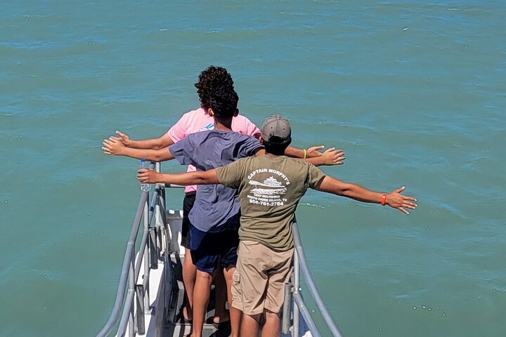 1:00 PM Eco Tour and Dolphin Watch