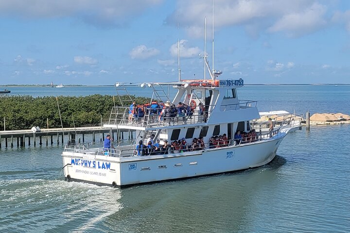 1:00 PM Eco Tour and Dolphin Watch