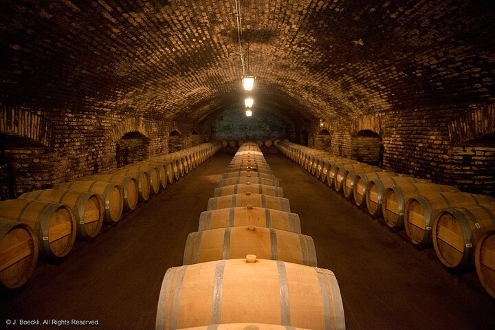 Private Maipo Valley Wine Experience: 2 Premium Wineries & Lunch