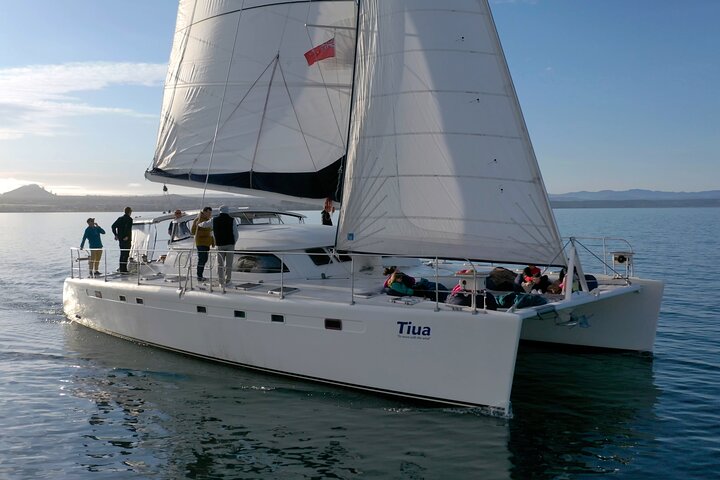 Luxury Sailing - Māori Rock Carvings - Taupo Sailing Adventures