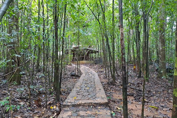 Kanneliya Rain Forest Tour