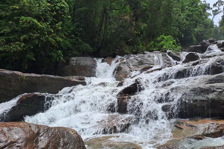 Kanneliya Rain Forest Tour