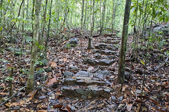Kanneliya Rain Forest Tour