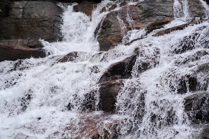 Kanneliya Rain Forest Tour