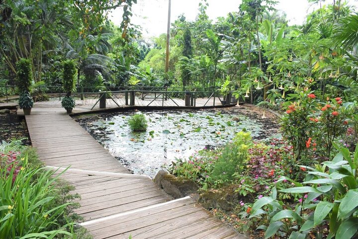 Garden of Sleeping Giant Tour with Tifajek Mud Pool and Hotspring