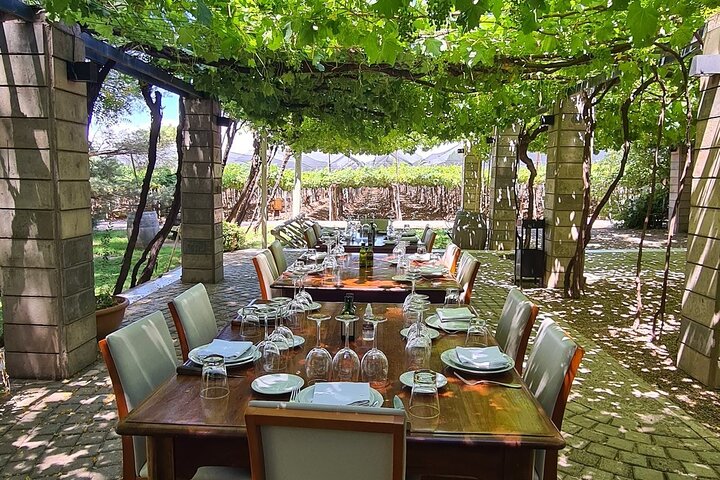 Salentein (Uco Valley) + 2 wineries with lunch included