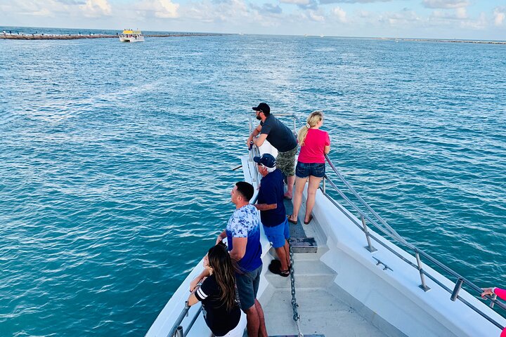 5 PM Golden Hour Dolphin Watch