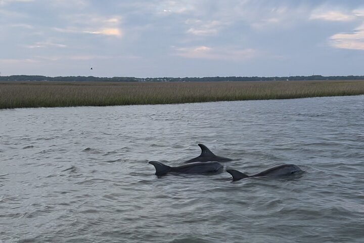 Private 2 Hour Morris Island and River Cruise