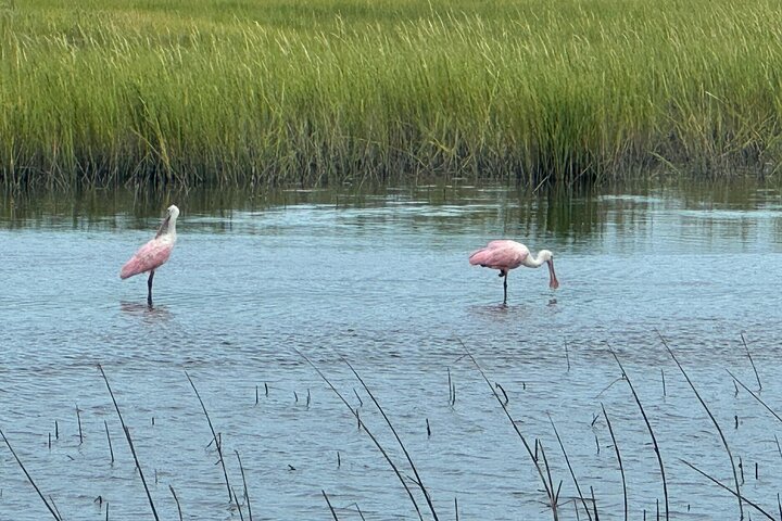 Morris Island Private Excursion