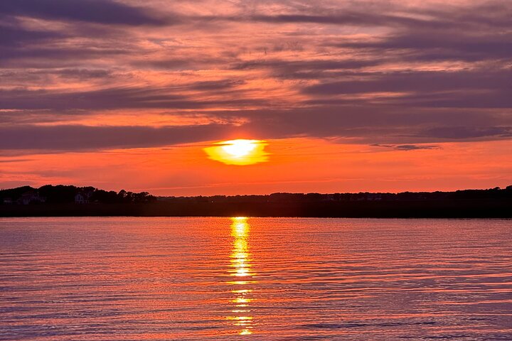 Private Charleston Sunset & Dolphin Cruise