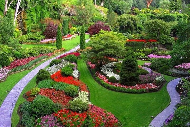 Mtirala National Park & Botanical Garden / Tour From Batumi