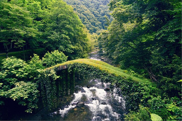 Mtirala National Park & Botanical Garden / Tour From Batumi