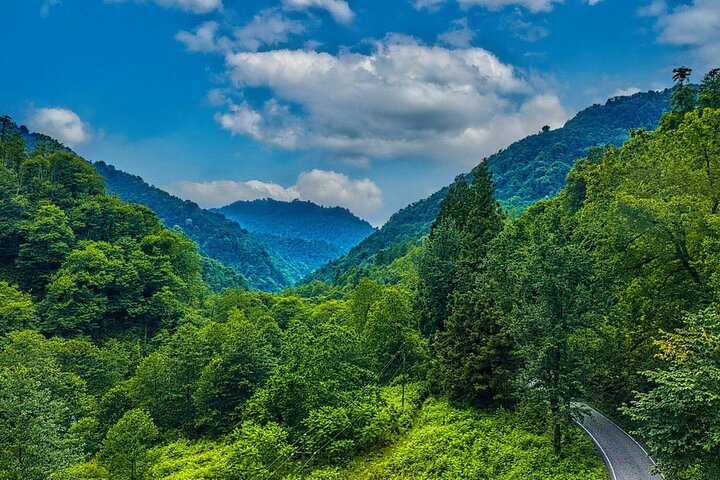 Mtirala National Park & Botanical Garden / Tour From Batumi