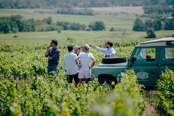 Lyon: Private Burgundy Half Day Wine Tour by Vintage Land Rover
