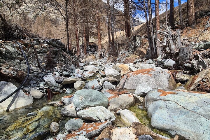 Guided Hiking Half Day in Zermatt
